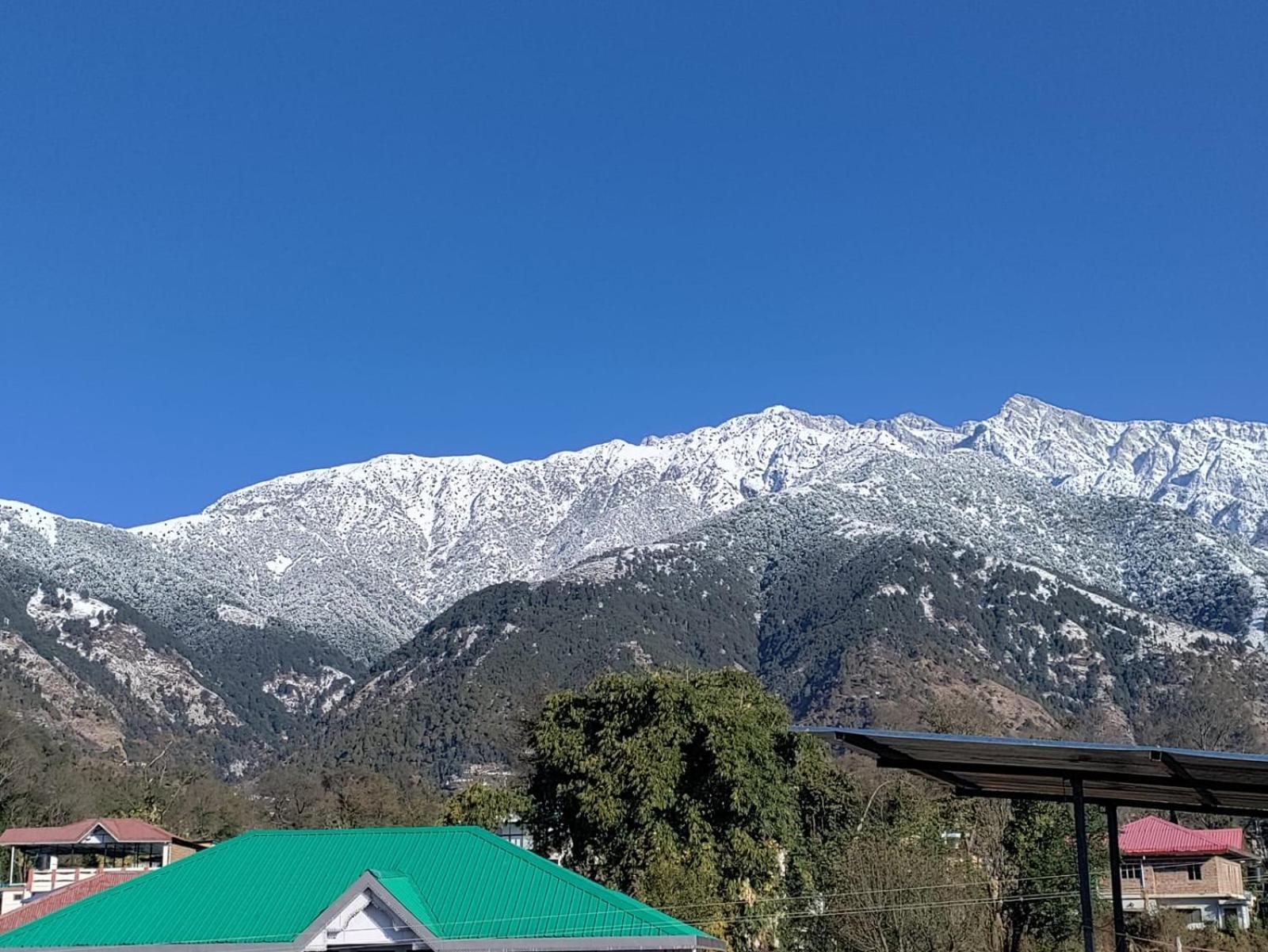Homestay Palampur View Pālampur Exterior foto