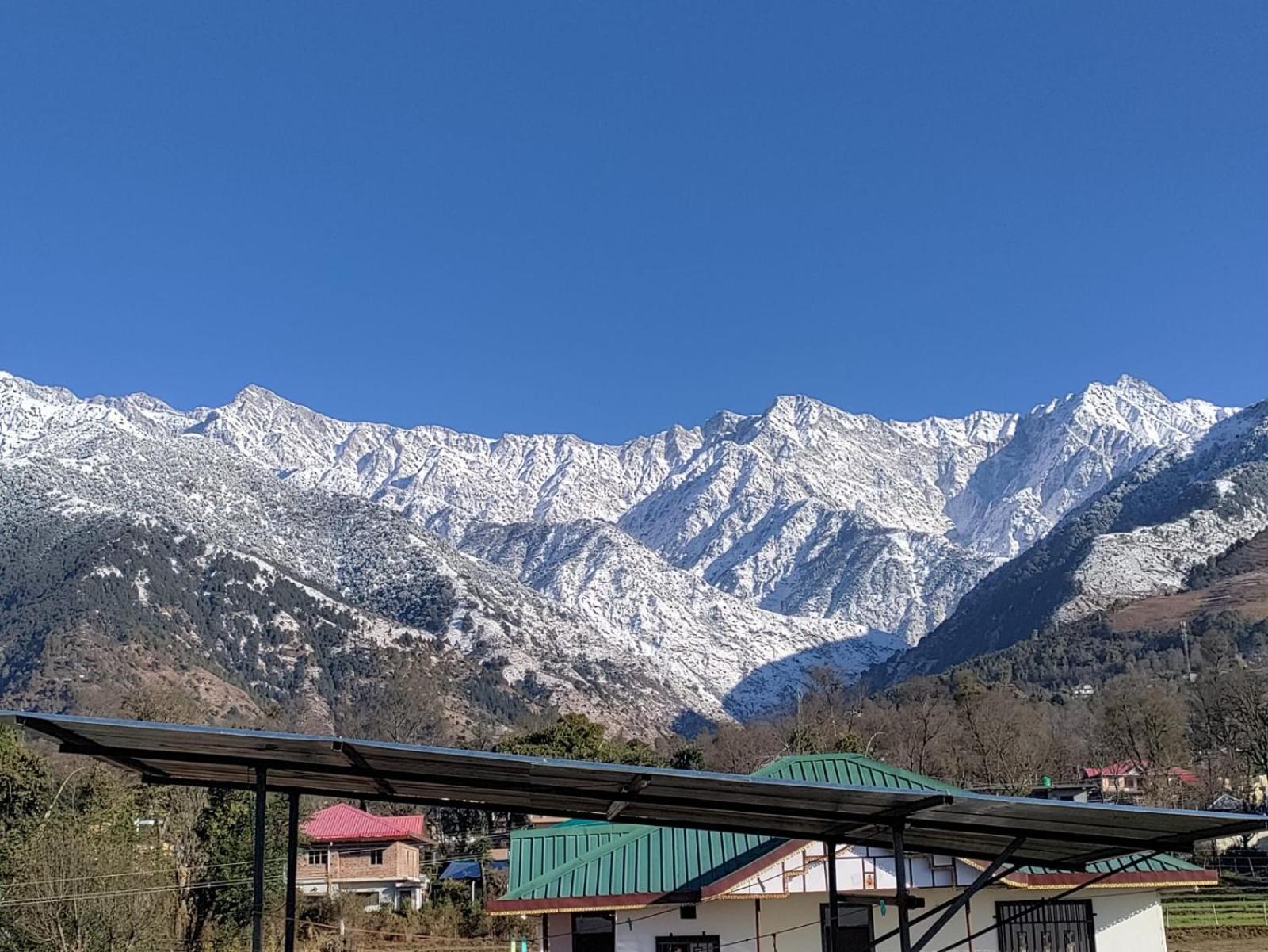 Homestay Palampur View Pālampur Exterior foto