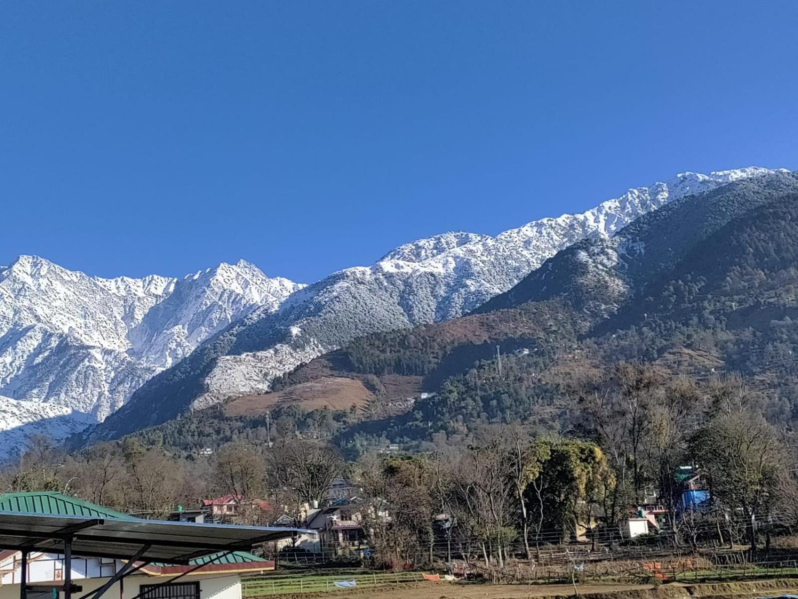 Homestay Palampur View Pālampur Exterior foto