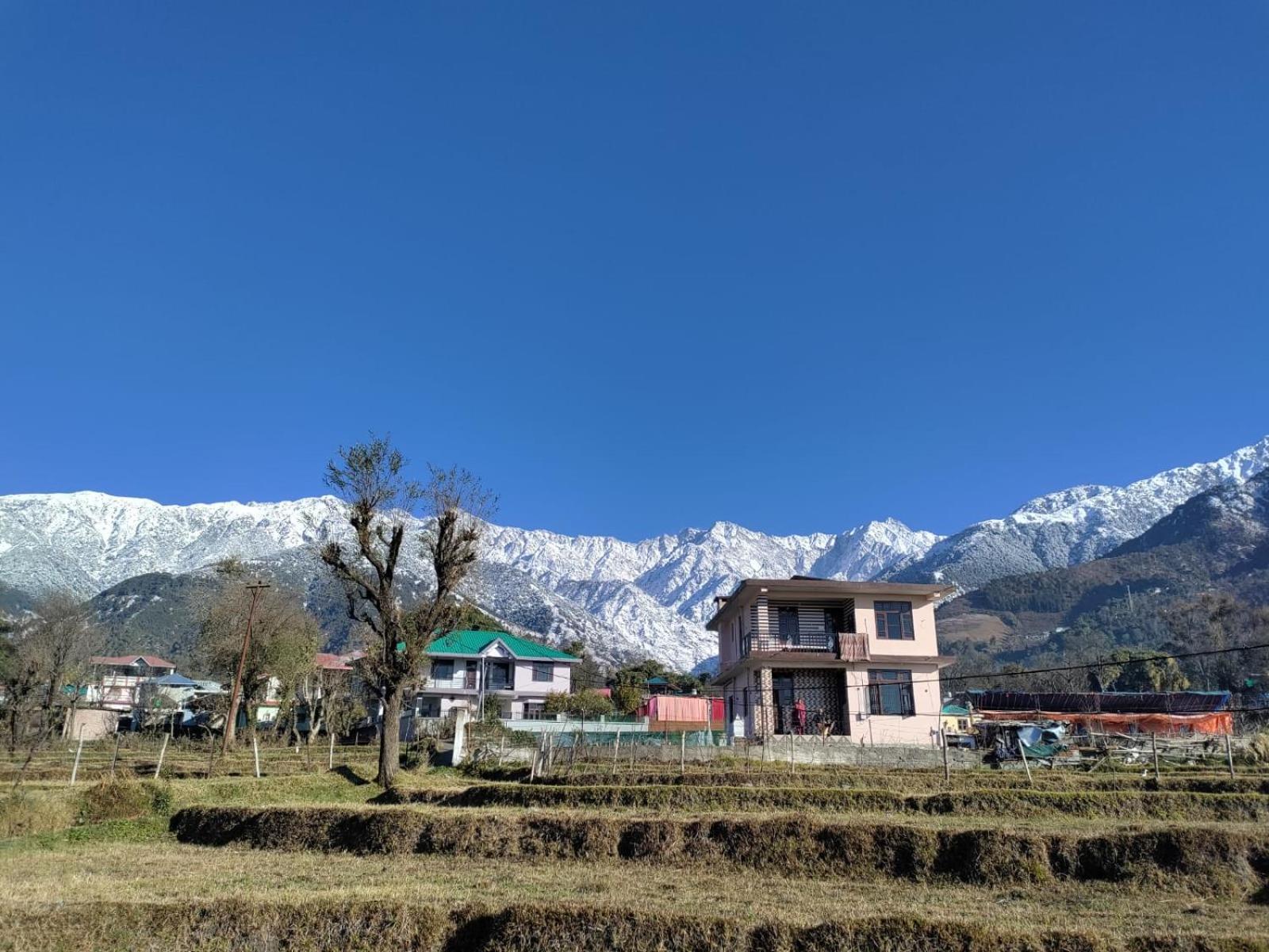 Homestay Palampur View Pālampur Exterior foto
