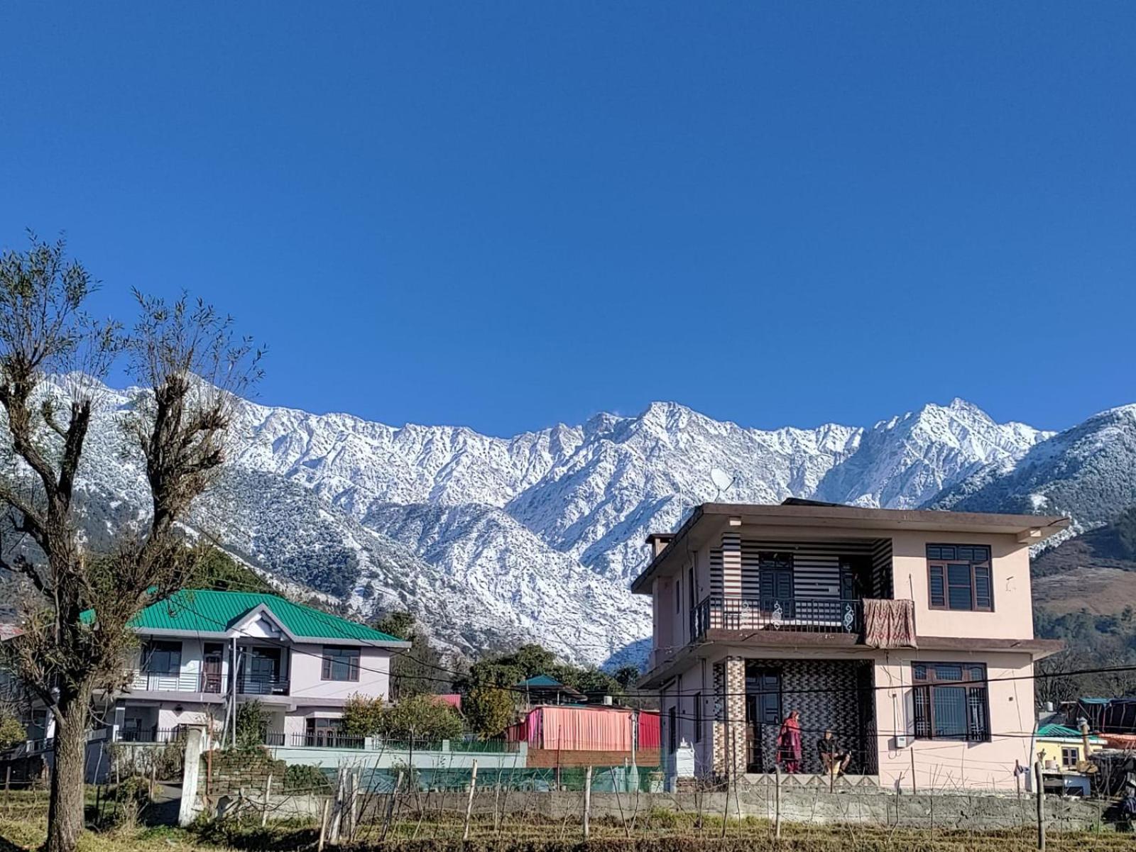Homestay Palampur View Pālampur Exterior foto